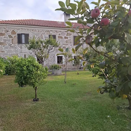 Private Terrace Flat *