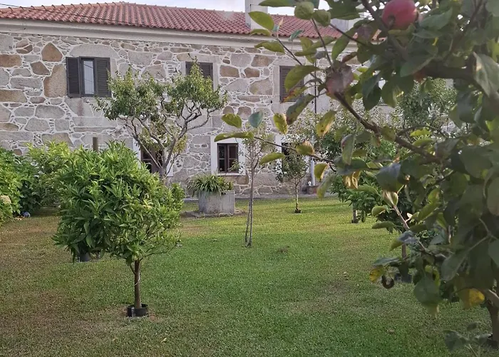 Private Terrace Flat *